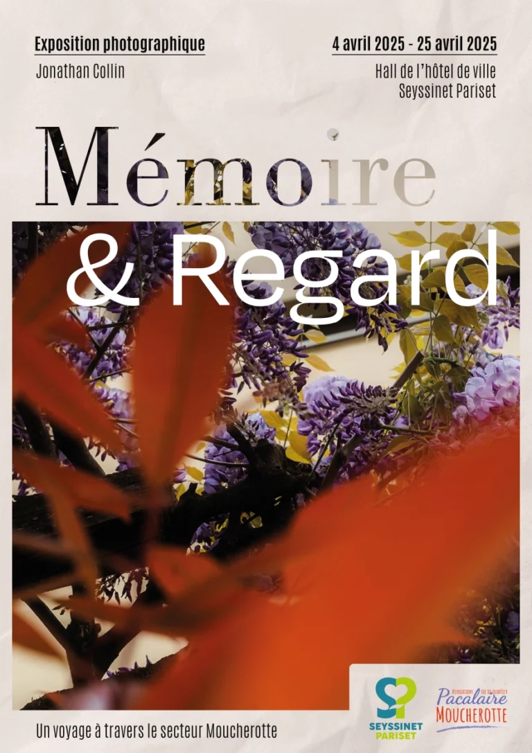 Mémoire et regard - Jonathan Collin